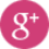Google Plus logo in a pink circle.