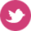Twitter logo in white on a pink circular background.