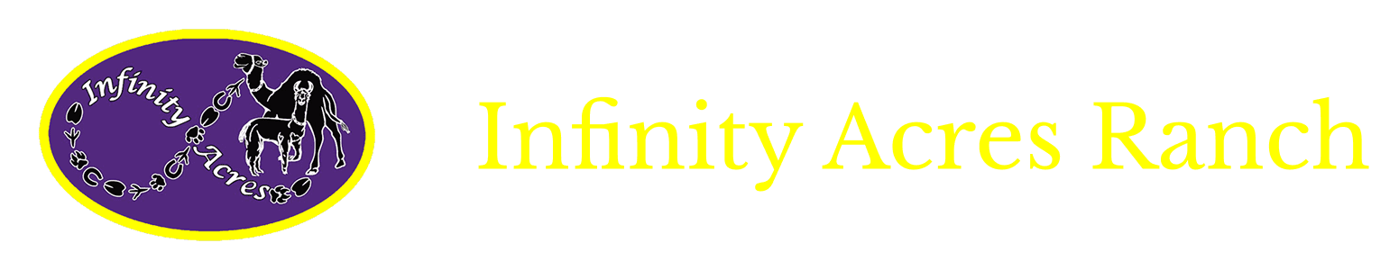 Logo of Infinity AI with yellow text on black background.