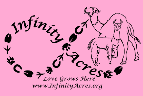 Infinity Acres Ranch