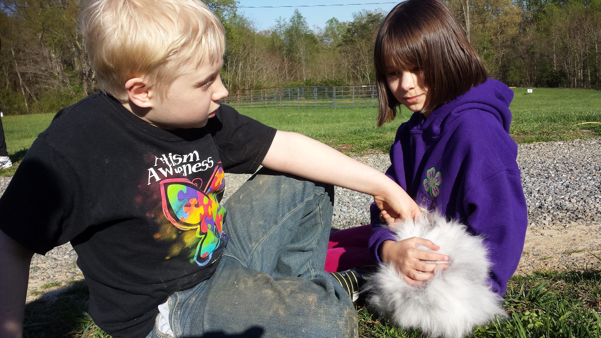Kids enjoying time with a rabbit
