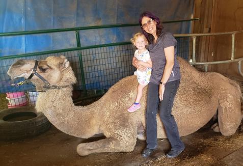 Child and woman with resting camel