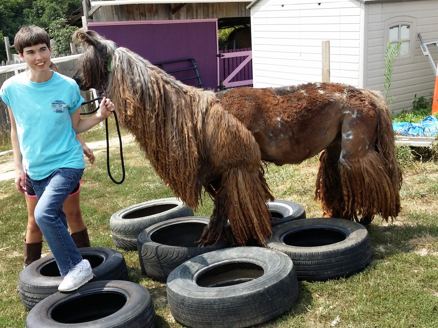 Person with horse standing on tires