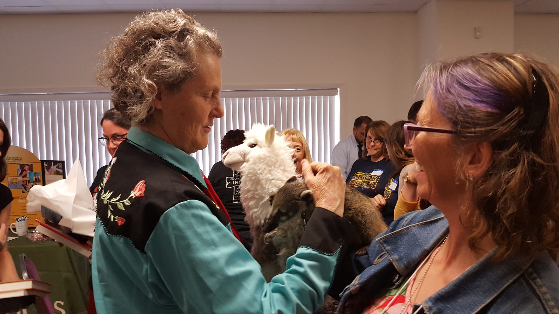 Person holding a toy llama