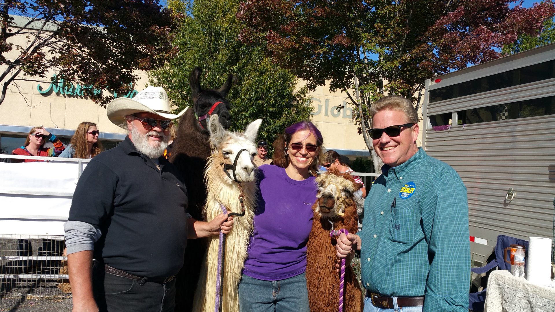 Group enjoying sunny day with llamas