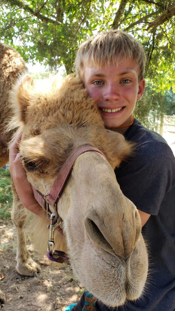 Young boy with friendly camel