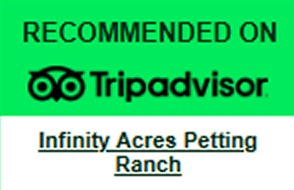 Tripadvisor recommendation for Infinity Acres Petting Ranch.