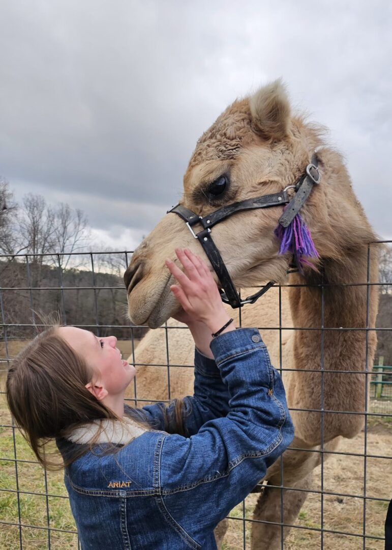 A person affectionately touching a camel's face outdoors.
