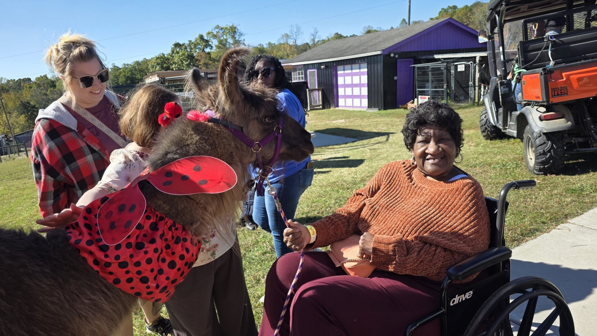 A woman in a wheelchair joyfully receives a pink frisbee from a dog wearing a pink collar outdoors.