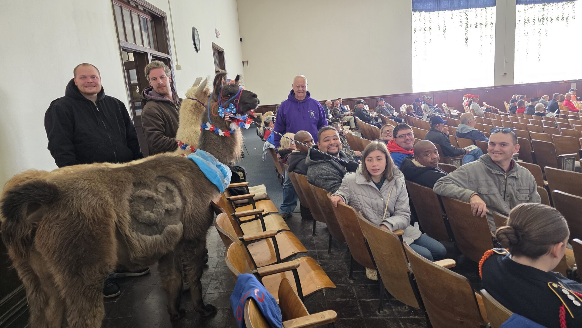 A person in a llama costume stands among seated people in an auditorium.