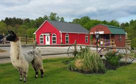 A rustic red barn with a horse in the foreground under a cloudy sky.