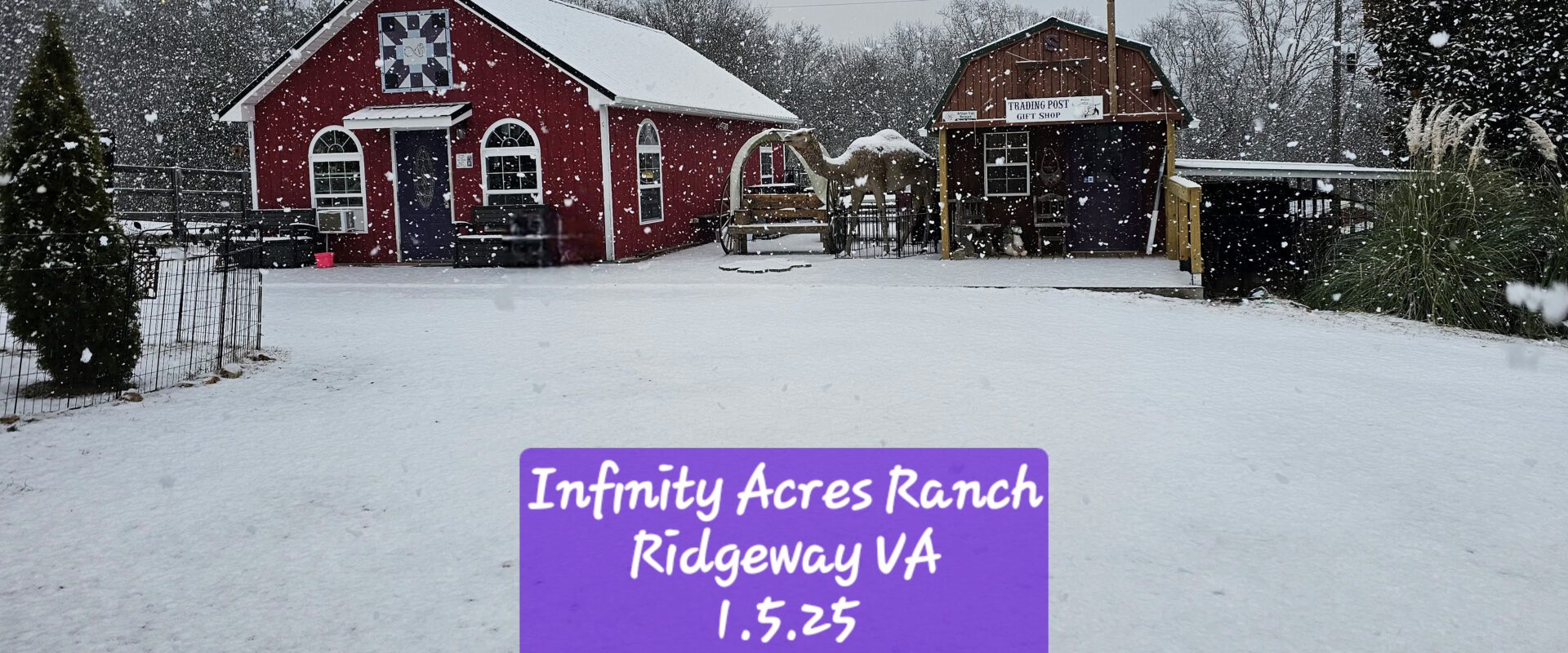 Snow falling on Infinity Acres Ranch in Ridgeway, VA, on January 5, 2025.