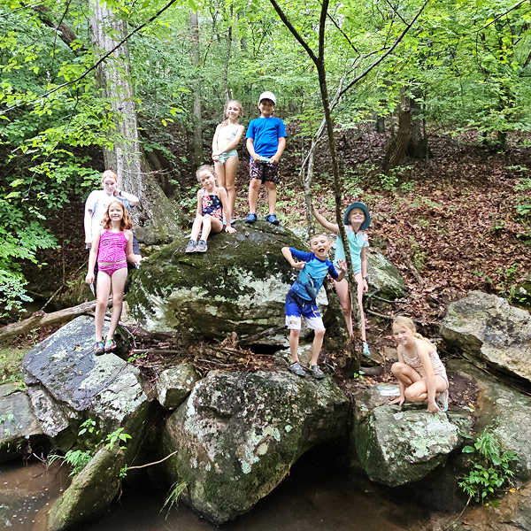 Children playing and exploring on rocks in a forested area.