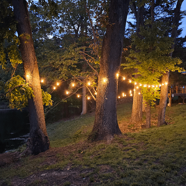 String lights hang between trees, glowing warmly at dusk.