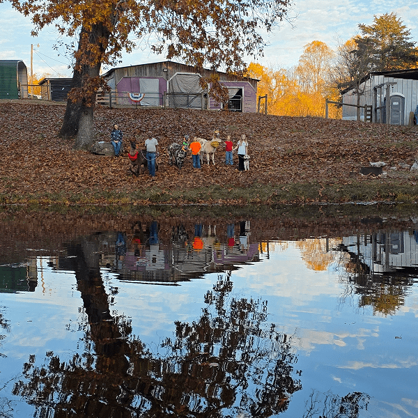 Children playing near a pond on a sunny autumn day.