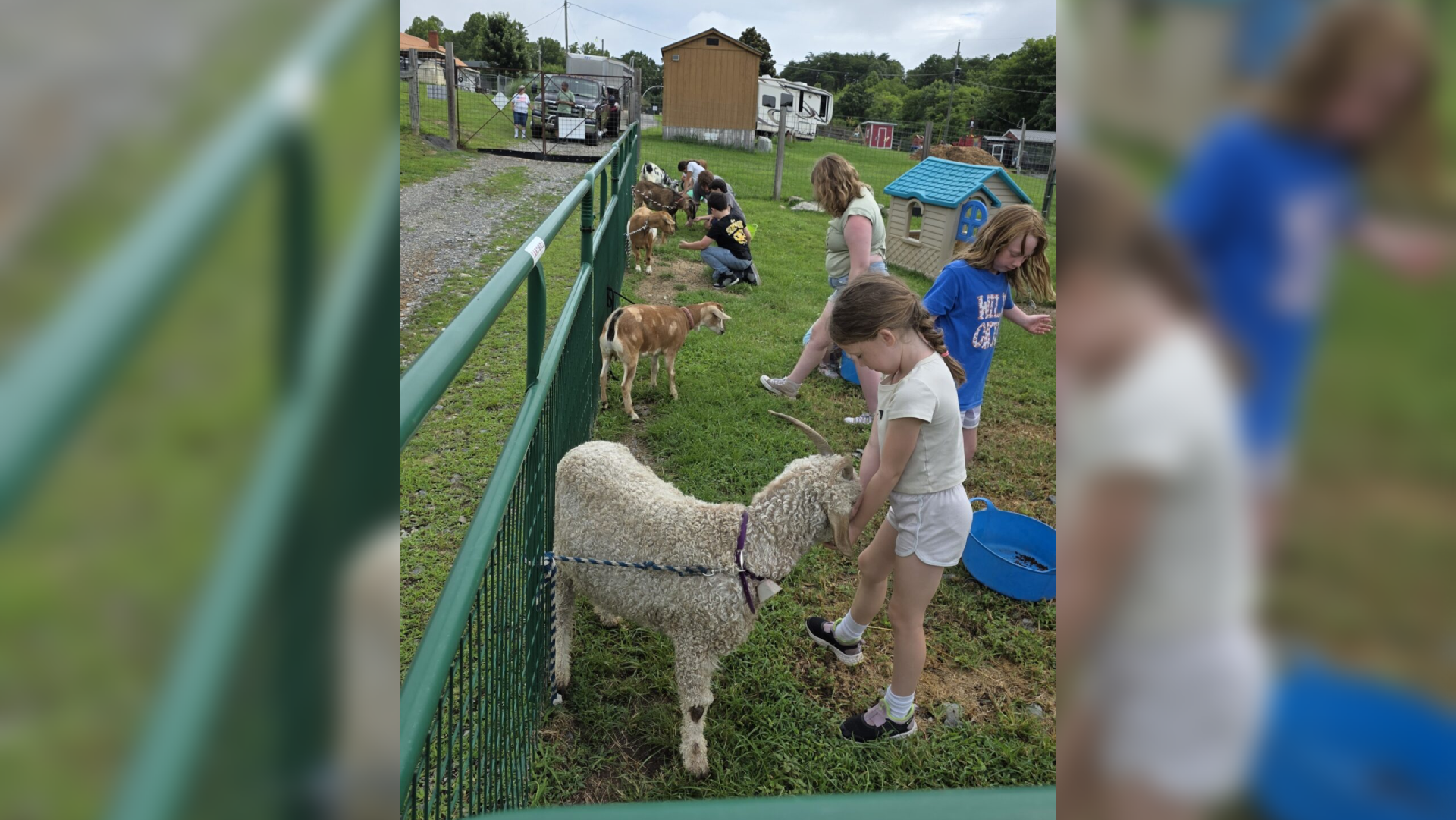 Children petting a sheep and deer behind a fence in a park.
