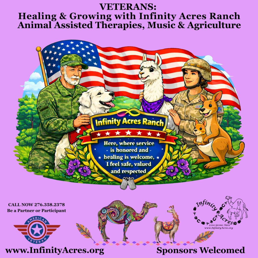 Holiday-themed flyer for Veterans Healing & Growing with Infinity Acres Ranch.