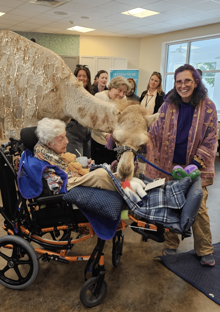 A woman in a wheelchair pets a llama indoors surrounded by smiling people.