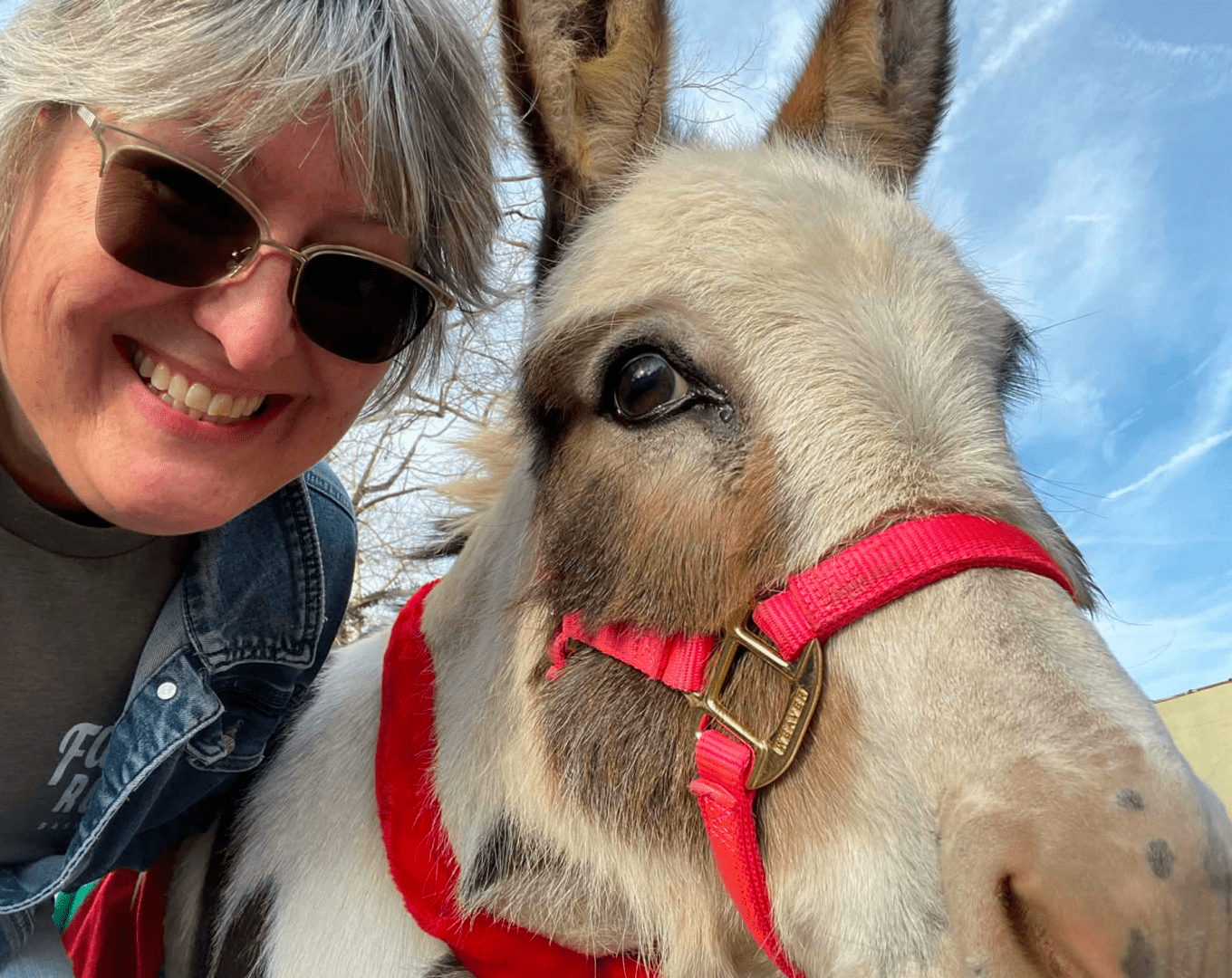 Person smiling next to a donkey wearing a red halter.