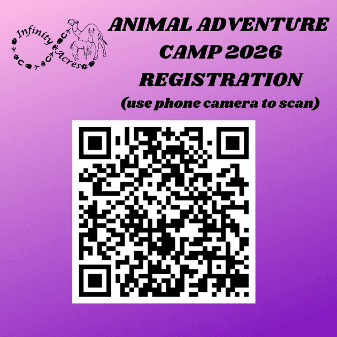 QR code for Animal Adventure Camp 2026 registration on purple background.