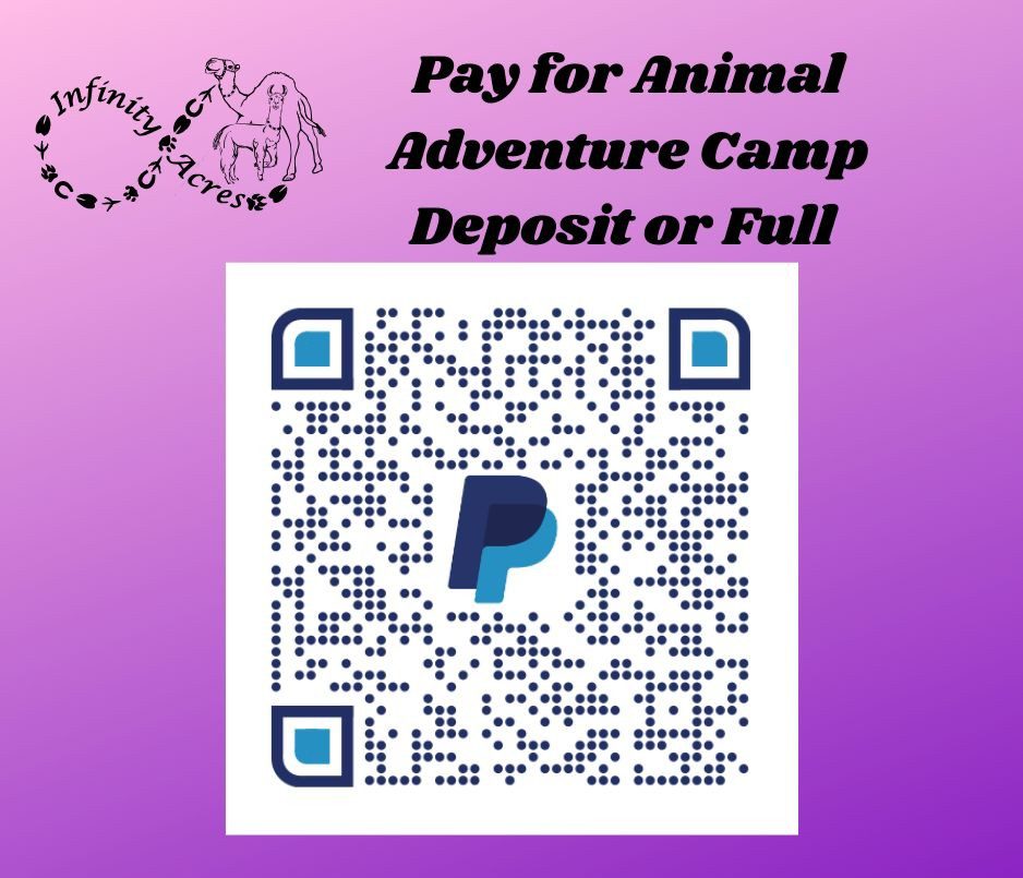 QR code for paying Animal Adventure Camp fees via PayPal.
